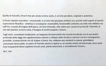 Maria Chiara Sini, in catalogo per la Personale "Sciamatura"